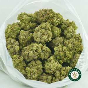 Buy Cannabis Death Punch at Wccannabis Online Shop