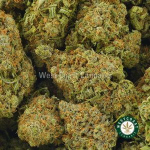 Buy Cannabis Tropicana Punch at Wccannabis Online Shop
