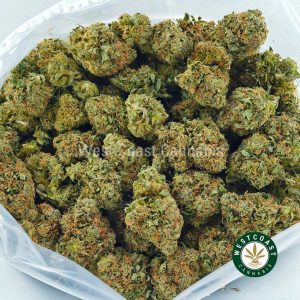 Bag of Black Tuna Kush weed for sale. Black Tuna Kush strain from west coast cannabis best online dispensary canada. Order purple space cookies weed, pink kush marijuana, and cookies and cream strains online in Canada. thc distillate, death star strain weed, and medibles for sale.