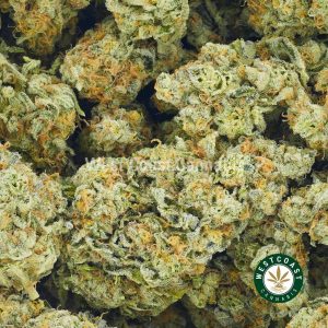 Buy weed. Alien Wedding Cake strain cannabis popcorn. Online dispensary for mail order marijuana in Canada.