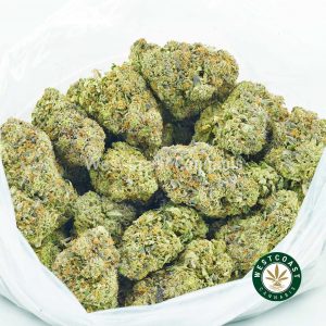 buy weed online Pink Alien Cookies for sale from west coast cannabis online dispensary canada. Purchase weed online. Cannabis canada buy weeds online.