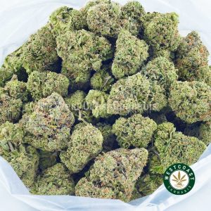 Buy Cannabis Platinum Girl Scout Cookies at Wccannabis Online Shop