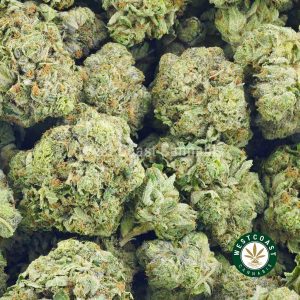 Buy Cannabis Blueberry OG at Wccannabis Online Shop