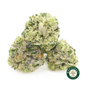 image of pink anxiety popcorn weed. buy online weeds here. buy weed online canada. order weed online from mail order marijuana company.