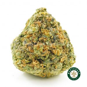 pineapple express weed for sale online canada. buy pot online. pink kush strain, hindu kush strain, and bubba kush weed. Best place for buying pot online in Canada.