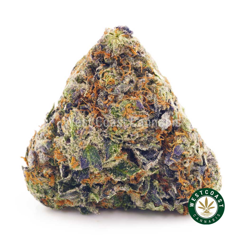 image of Pink Ghost Train Haze Strain for sale online at West Coast Cannabis online dispensary BC.