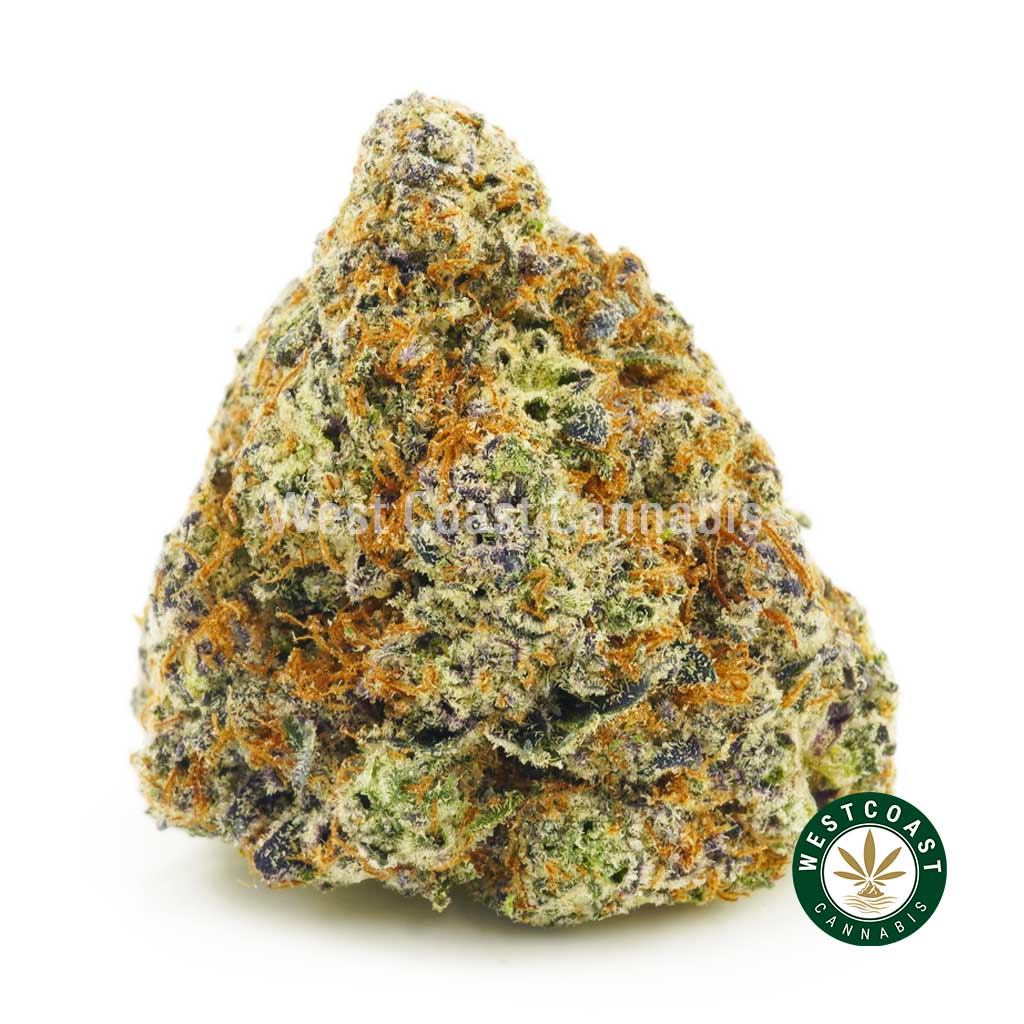 photo of purple punch strain from west coast cannabis BC online dispensary canada to buy weed online. buy online weeds.