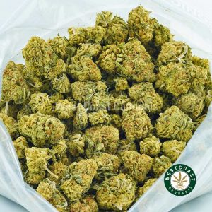 blueberry mimosa weed for sale. buy weed online at west coast cannabis. Top online cannabis shop in Canada with agent orange weed & maui wowie strain for sale. Buy thin mint gsc, and black tuna strain get fast shipping.