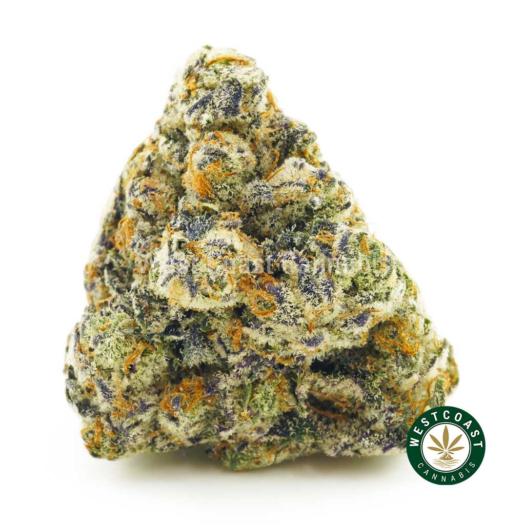 close up image of peanut butter breath weed bud for sale. order weed online get the best cannabis canada. buying weed online is fast at west coast cannabis. Buy weed moon rocks online.