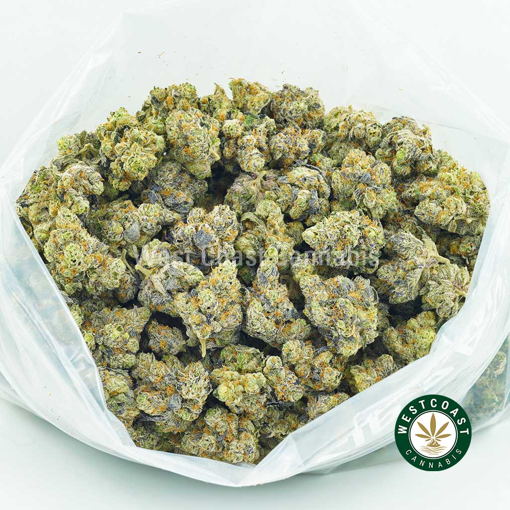 Heritage of special pot feminized seeds