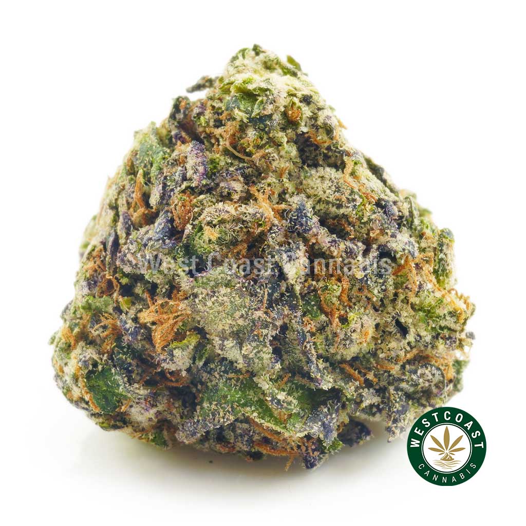 Image of Northern Lights strain bud from BC online dispensary and mail order marijuana weed shop canada.