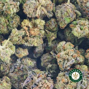 Image of Northern Lights strain buds for sale from online dispensary in Canada. Buy weed online.