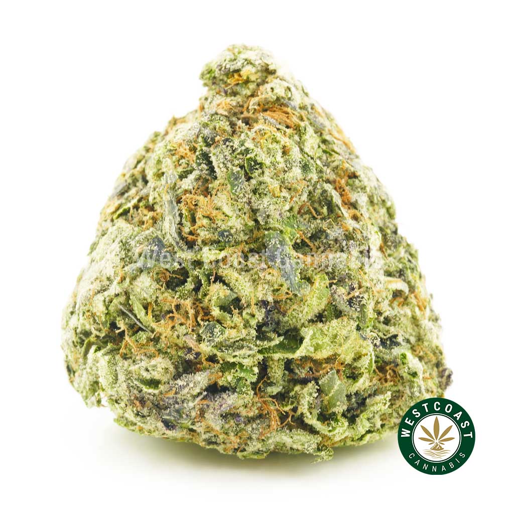product photo of green crack weed strain for sale in canada. Buy red congolese form the best online dispensary & online weed shop in canada. online weed shop get fast shipping.