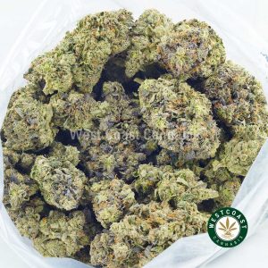 Buy Cannabis Alien Breath at Wccannabis Online Shop