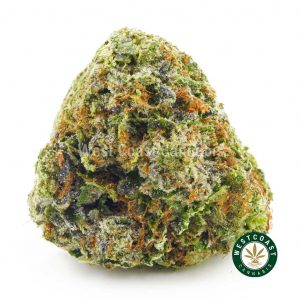 Buy Tornado weed online in Canada from the best online dispensary and mail order marijuana weed shop.