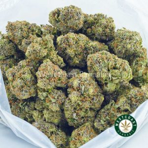 Buy weed online tornado weed from west coast cannabis online dispensary Canada. mail order weed canada.