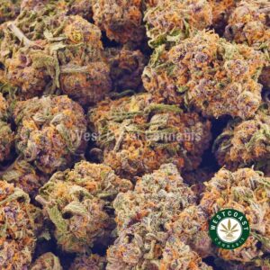Buy weed Cherry Punch AA at wccannabis weed dispensary & online pot shop