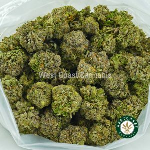 Buy Cannabis Ak 47 at Wccannabis Online Shop