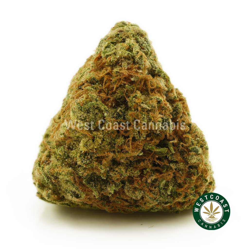 Buy Cannabis Cali Bubba at Wccannabis Online Shop