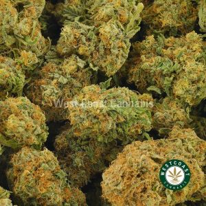 Buy Cannabis Sour Kush at Wccannabis Online Shop