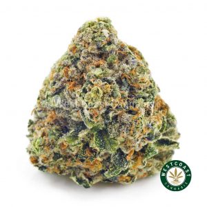 Buy Cannabis Incredible Hulk at Wccannabis Online Shop