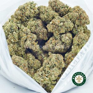 Buy Cannabis Incredible Hulk at Wccannabis Online Shop