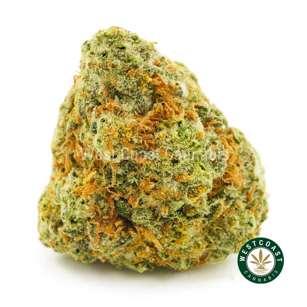 close up photo of strawberry mango weed nugget for sale west coast cannabis. Best online dispensary in Canada to buy weed online. Buy cannabis, pink kush, master kush, and lemon kush weed.
