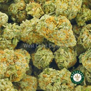 product photo of strawberry mango weed for sale. buy weed online west coast cannabis. Buy marijuana online at this mail order marijuana dispensary in Canada. Buy weed edibles here.
