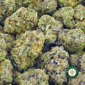 Order weed online Blueberry OG strain from west coast cannabis online dispensary and mail order marijuana weed shop.
