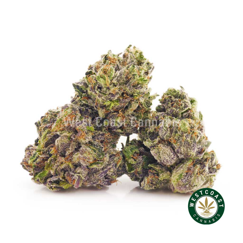 Buy Cannabis Purple Death Bubba Popcorn at Wccannabis Online Shop