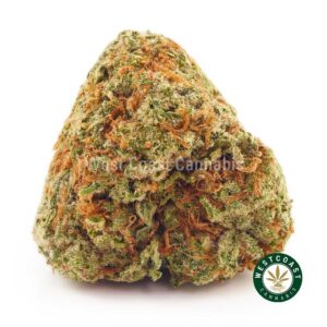 Buy Tropicana weed online Canada. Dispensary to buy cheapweed and budgetbuds online. buy weeds online. edinles. shatter. gummys.