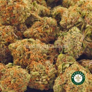 Buy weeds online Tropicana BC cannabis. Cheapweed from West Coast Cannabis pot shop. Dispensary for weed online. Buy online weeds. weed shop.