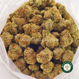 Buy weed Tropicana budget buds at online dispensary Canada to buy weed online. Moon rock weed. THC oil. cannabis dispensary.
