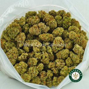 Buy Cannabis Sunset Sherbert at Wccannabis Online Shop