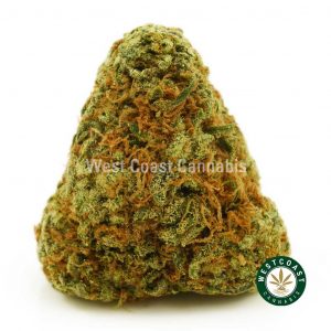 Buy Cannabis Orange Cookies at Wccannabis Online Shop