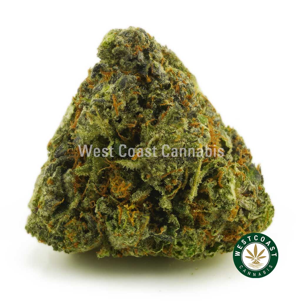 Buy Cannabis Mendo Breath at Wccannabis Online Shop
