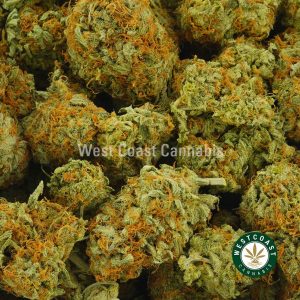 Buy Cannabis Grape Ape at Wccannabis Online shop