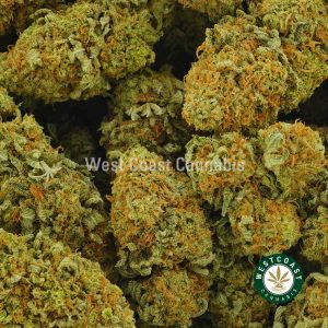 Buy Cannabis Tropical Sunrise at Wccannabis Online Shop