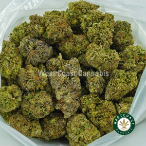 Buy Cannabis Pink Punch at Wccannabis Online Shop