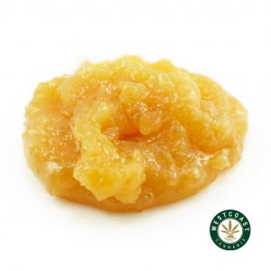 Buy Caviar Butterscotch at Wccannabis Online Shop