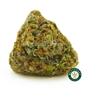 image of Purple Space Cookies weed strain bud. Buy weed online at west coast cannabis online dispensary canada.