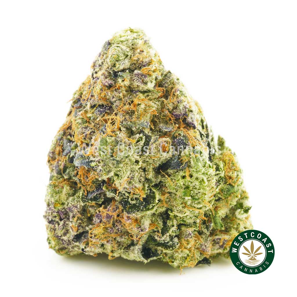 Buy Weed Online. Blueberry Kush at Wccannabis Online Dispensary Canada