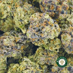Buy Cannabis Blueberry Kush at Wccannabis Online Shop