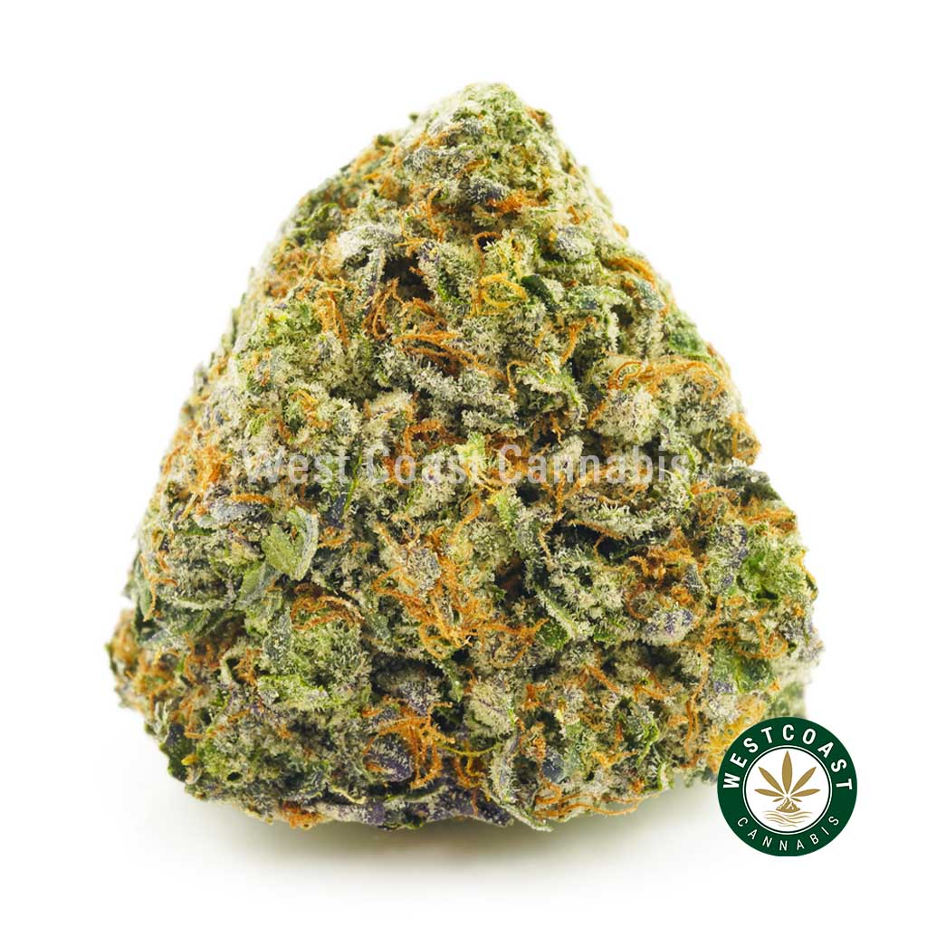 Photo of el jefe strain BC bud buy weed online. buy online weeds from BC. Purchase weed online.