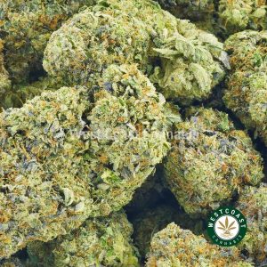 Buy el jefe strain online cannabis canada. Order weed online and order pot online from wccannabis.co.