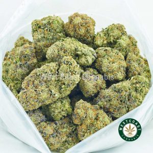 Buy weed online el jefe strain from best online dispensary canada west coast cannabis canada.