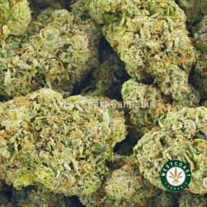 Image of LA Confidential weed strain to buy online in canada. Best online dispensary canada west coast cannabis BC bud. order weed online.