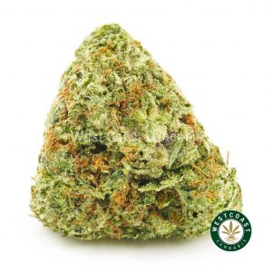 photo of lemon meringue weed strain bud for sale. Shop west coast cannabis the top canada dispensary to buy weed online. Best online dispensary for mood rocks bud & hybrid strains.