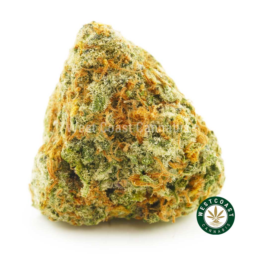 close up image of strawberry cough weed strain for sale-buy strawberry cough weed online canada. Shop online dispensary in Canada no card. Order weed online. Super silver haze, indica strains, sativa strains for sale.