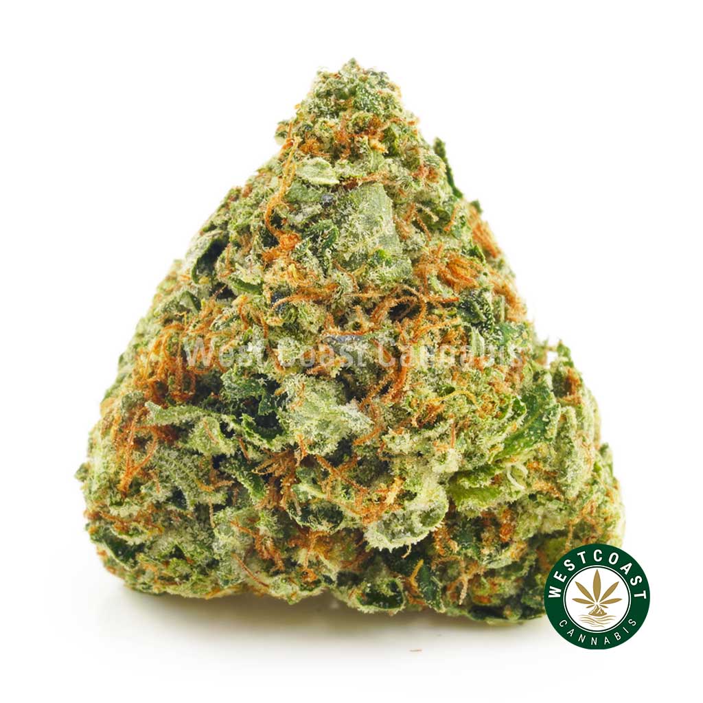 image of Cali Kush strain buds from mail order marijuana online dispensary west coast cannabis BC.